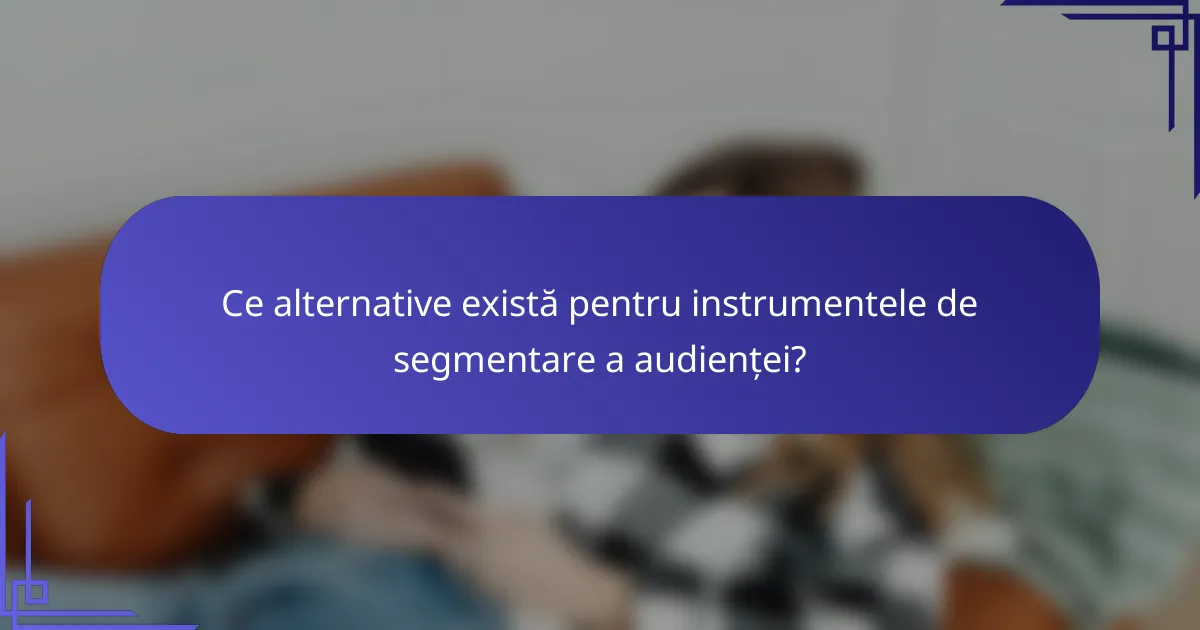 Ce alternative există pentru instrumentele de segmentare a audienței?