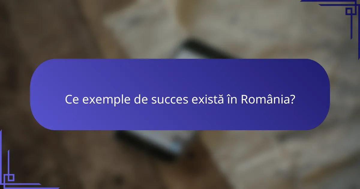 Ce exemple de succes există în România?